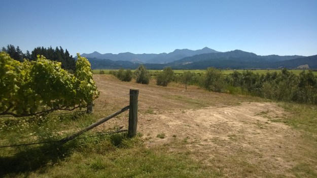 WP_20140221_13_58_32_Pro