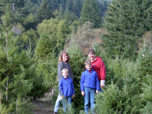 Selecting a Christmas tree in 2001